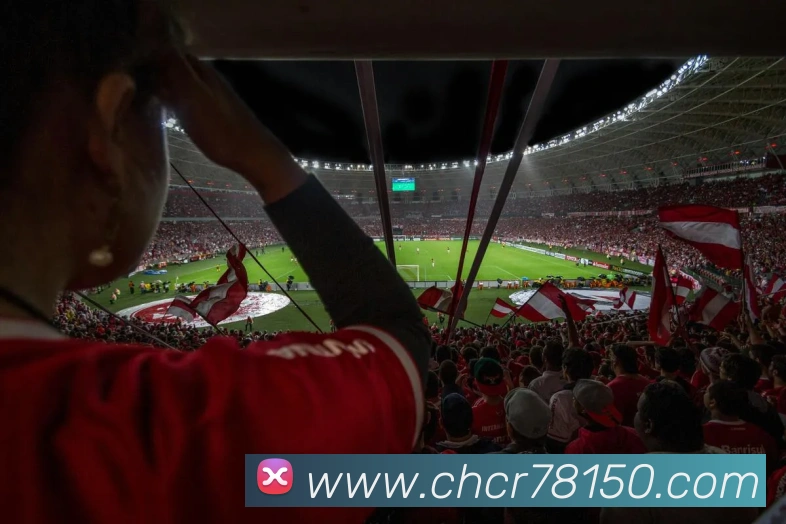 用户互动社区